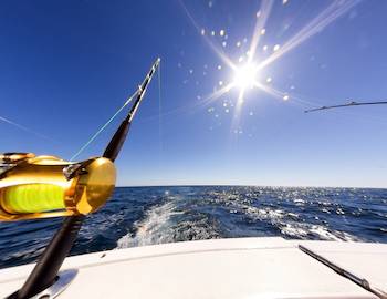boat fishing gulf of mexico